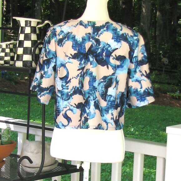 NWT Ripley Radar Los Angeles pullover cropped top shirt blouse Size 4 polyester - Picture 6 of 6